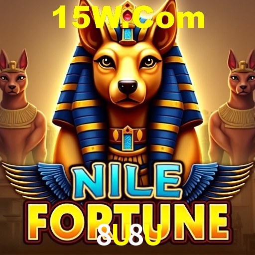 Interface Premium 8U8U